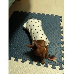 New Style Pet Four Foot Bottomed Household Clothes (Option: White-XL)