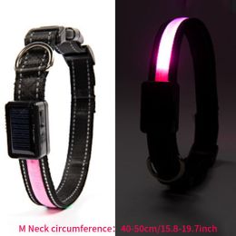 Solar And USB Rechargeable Light Up Pet Collar Waterproof LED Dog & Cat Collars For Night Walking (Color: Pink, size: M)