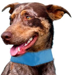 Pet Life Summer-Cooling' Insert Able And Adjustable Cooling Ice Pack Dog Neck Wrap (SKU: PTCL1BL)