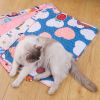 Autumn And Winter Cartoon Dog Mat; Pet Floor Mat; Bite Resistant Comfortable Cat Dog Sleeping Mat