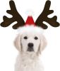 Dog Christmas Reindeer Antlers Headband Classic Elk Hat Headwear Pet Costumes Accessories pet gift