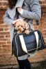 Airline Approved Mystique Fashion Pet Carrier