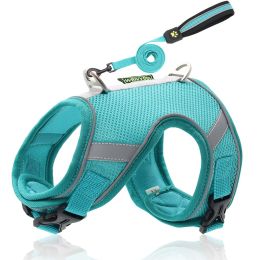 Pet Hand Holding Rope Mesh Dog Breast Strap Adjustable Reflective Dog Rope Pet Supplies (Option: Lake Blue-S 35kg)